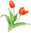 TULIP logo